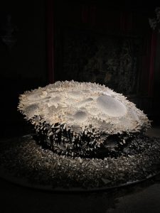 Chun Kwang Young
